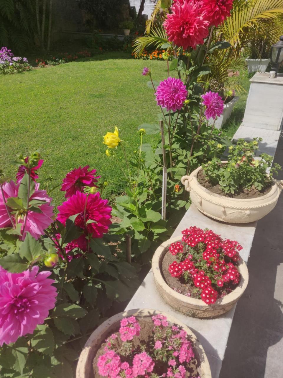 Heritage Homestay Dżammu Zewnętrze zdjęcie